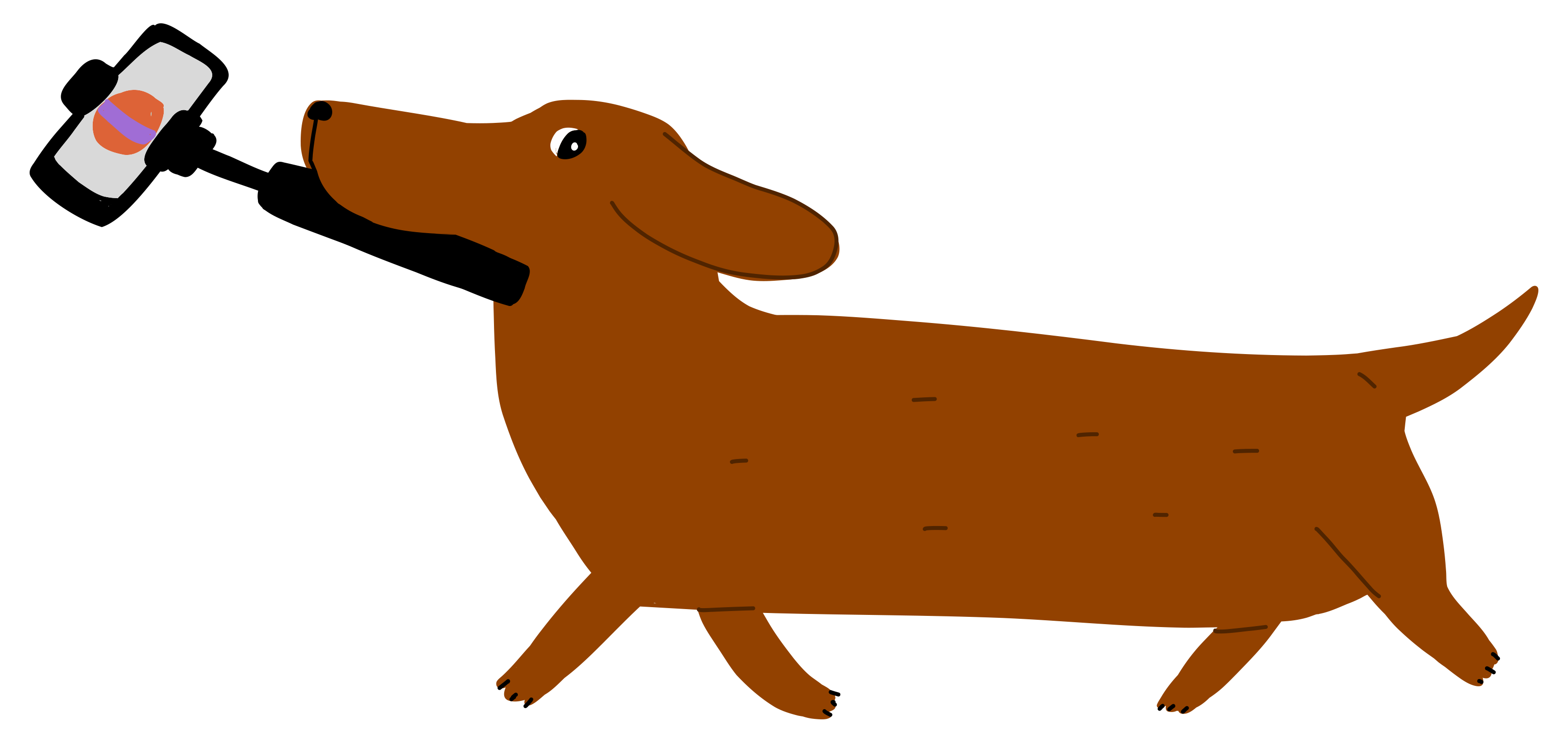 Jezevčík Explorer Dog